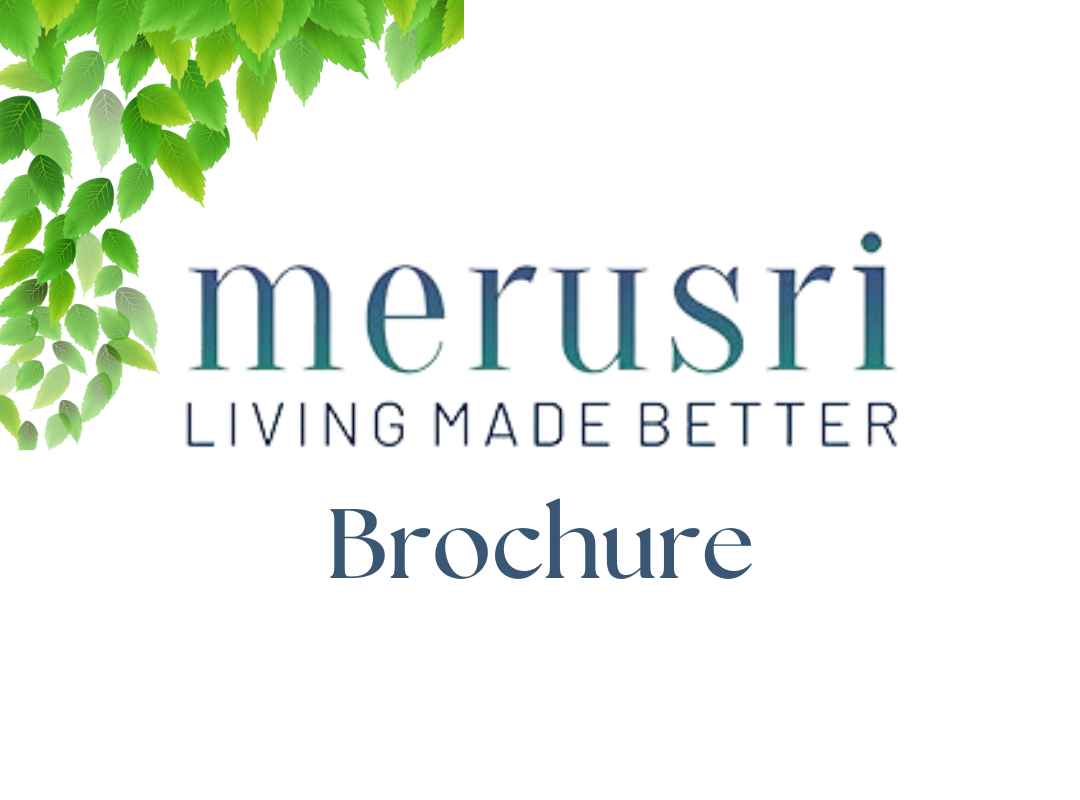   Merusri Antelopes Brochure